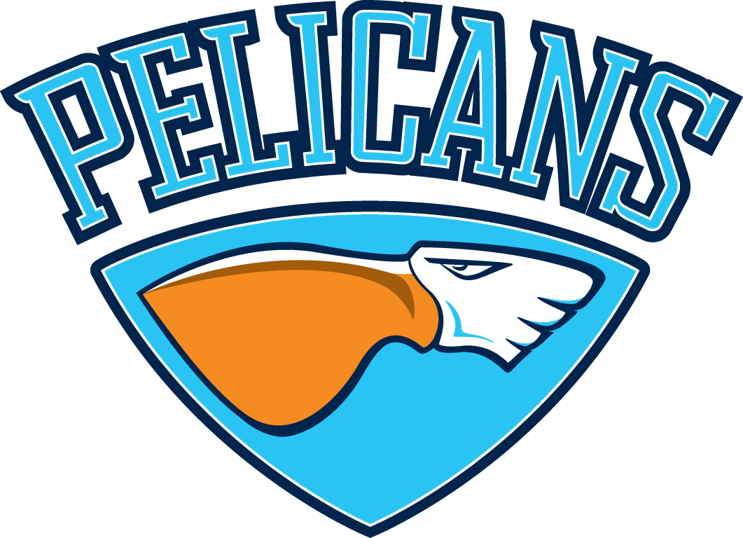 Lahti Pelicans 2017-Pres Alternate Logo iron on heat transfer